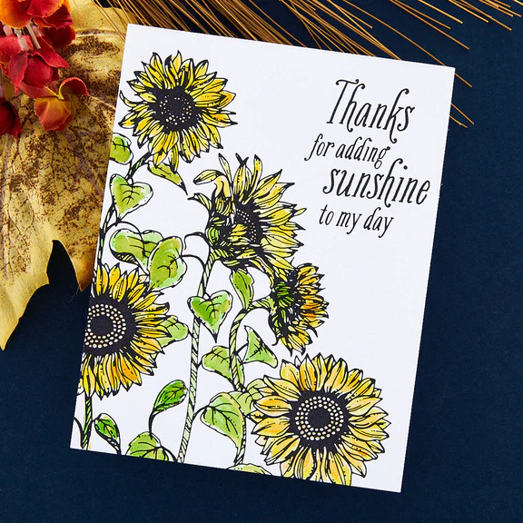 Sunflower Field - Press Plate