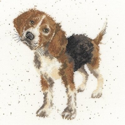 Beagle - Cross Stitch Kit