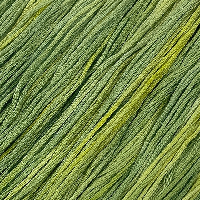 Avocado #017 - Colour and Cotton Thread