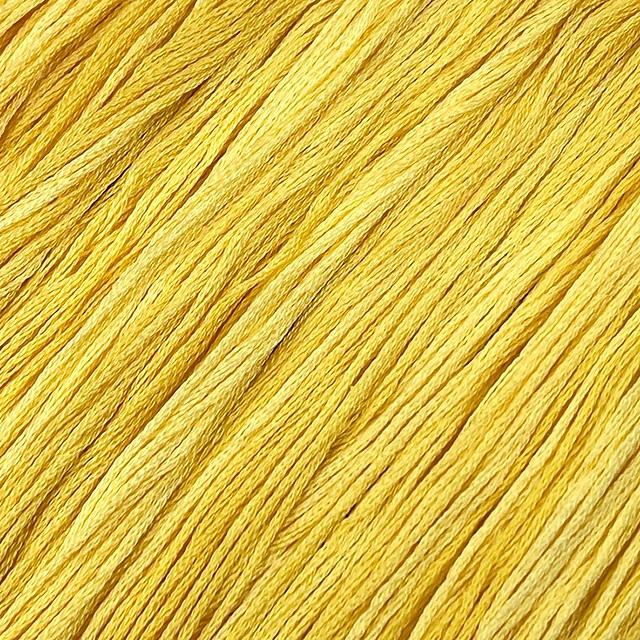 Bumblebee #043 - Colour and Cotton Thread