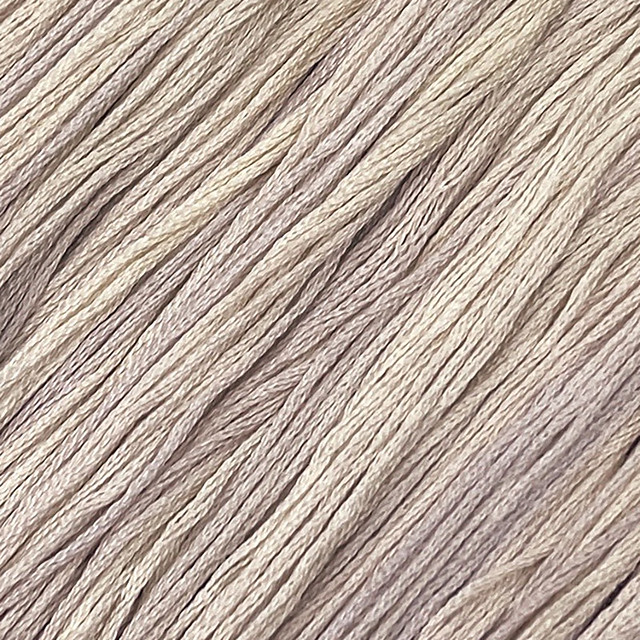 Cardamom #055 - Colour and Cotton Thread