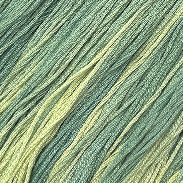 Caterpillar #060 - Colour and Cotton Thread