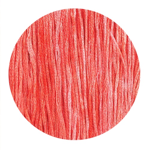 Flamingo #115 - Colour and Cotton Thread