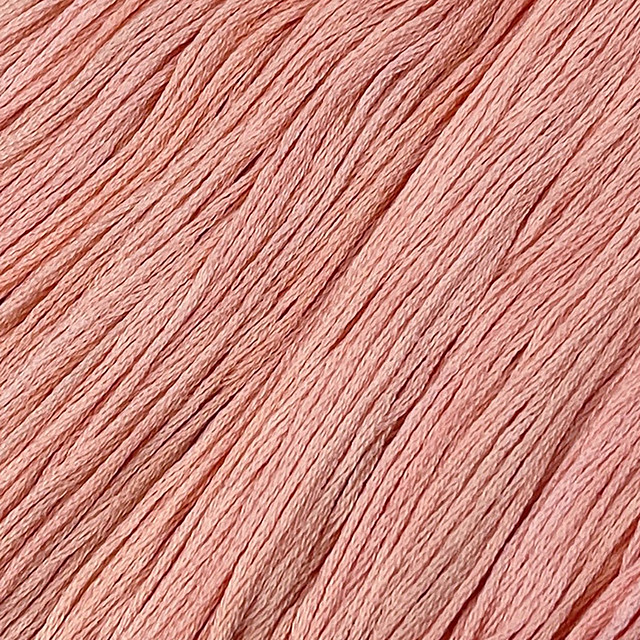 Light Coral #161 - Colour and Cotton Thread