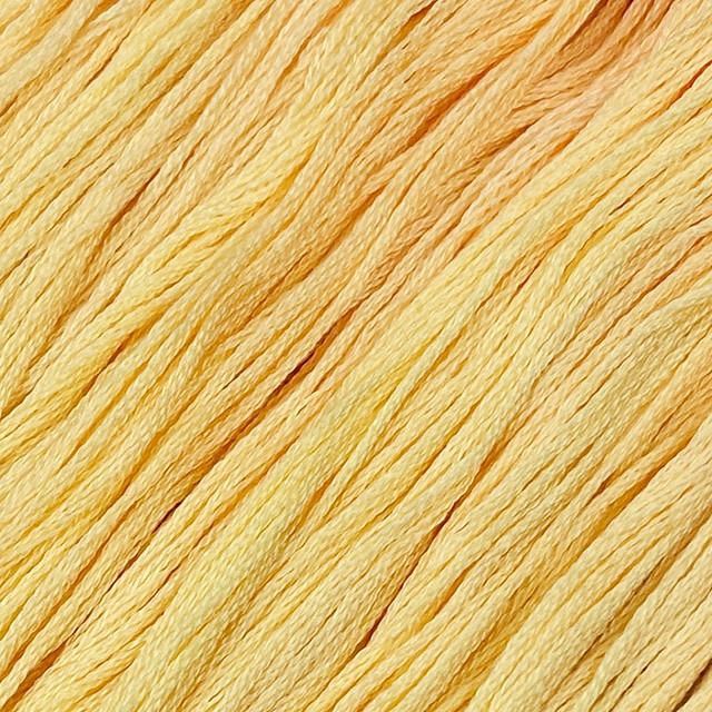 Mango #176 - Colour and Cotton Thread