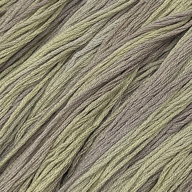 Succulent #316 - Colour and Cotton Thread
