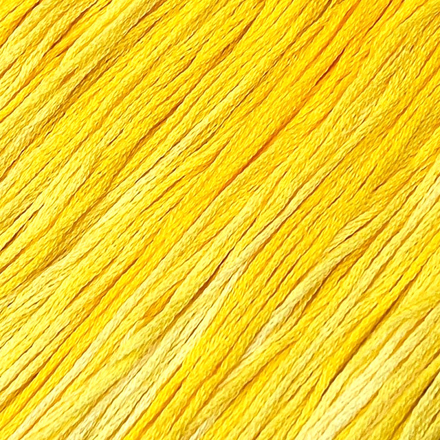 Sunflower #320 - Colour and Cotton Thread