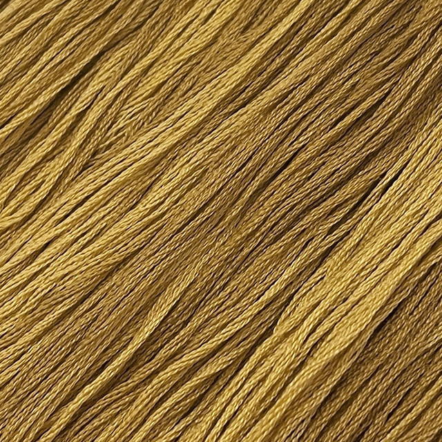 Turmeric #336 - Colour and Cotton Thread