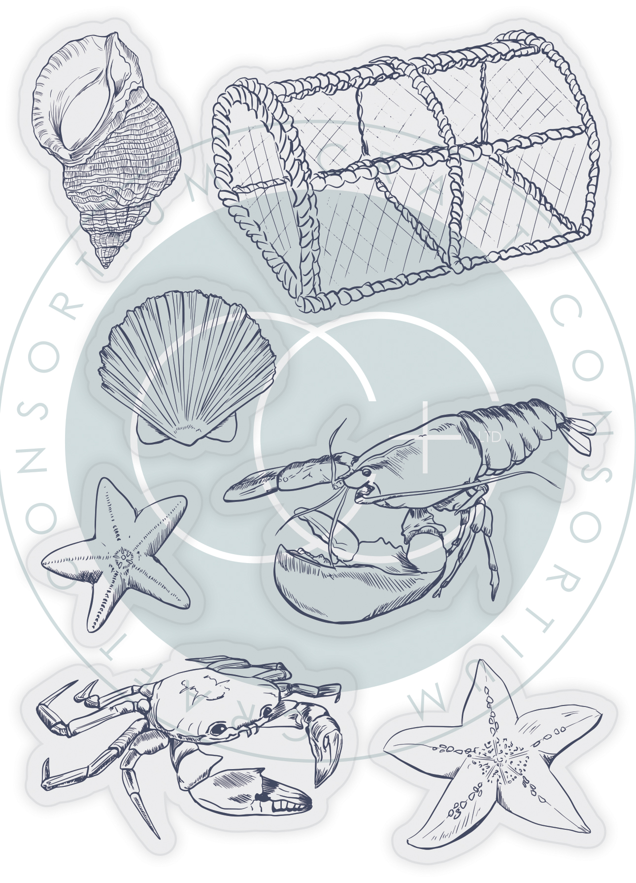 Sea - Clear Stamp Set