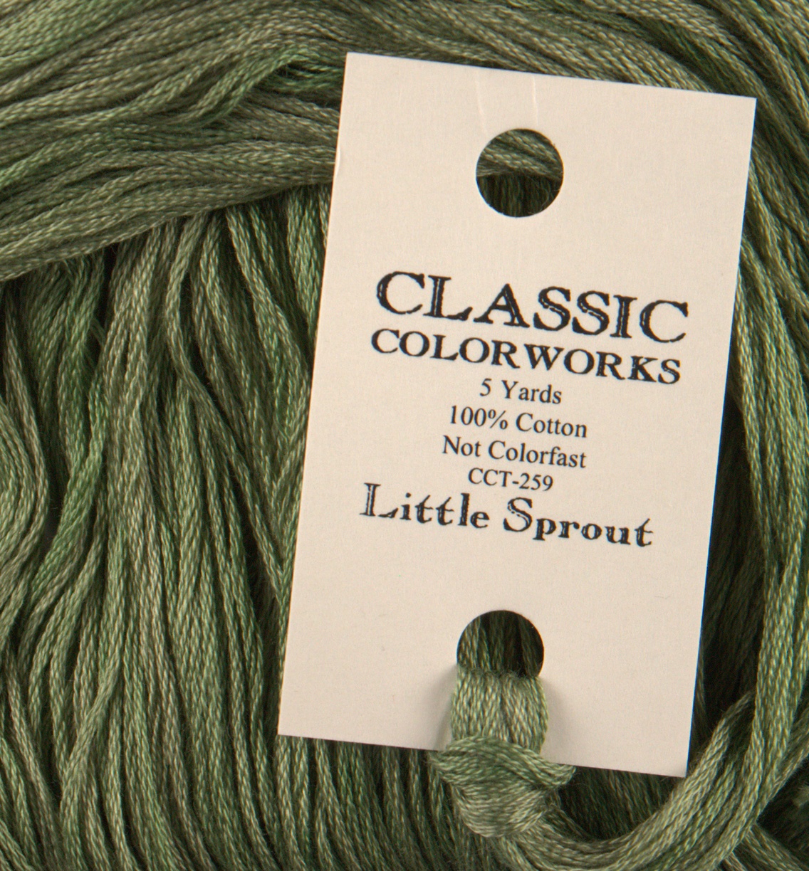 Little Sprout Green - Classic Colorworks Cotton Floss