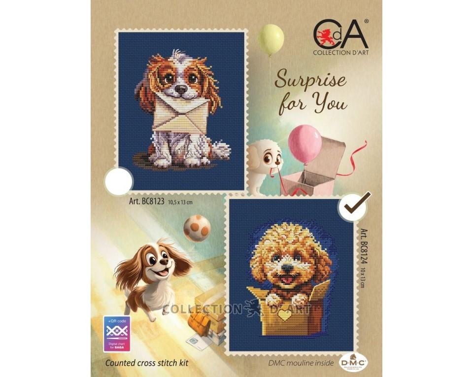 Surprise for You #2 - Cross Stitch Kit