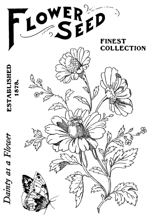 Flower Seed - Clear Stamp