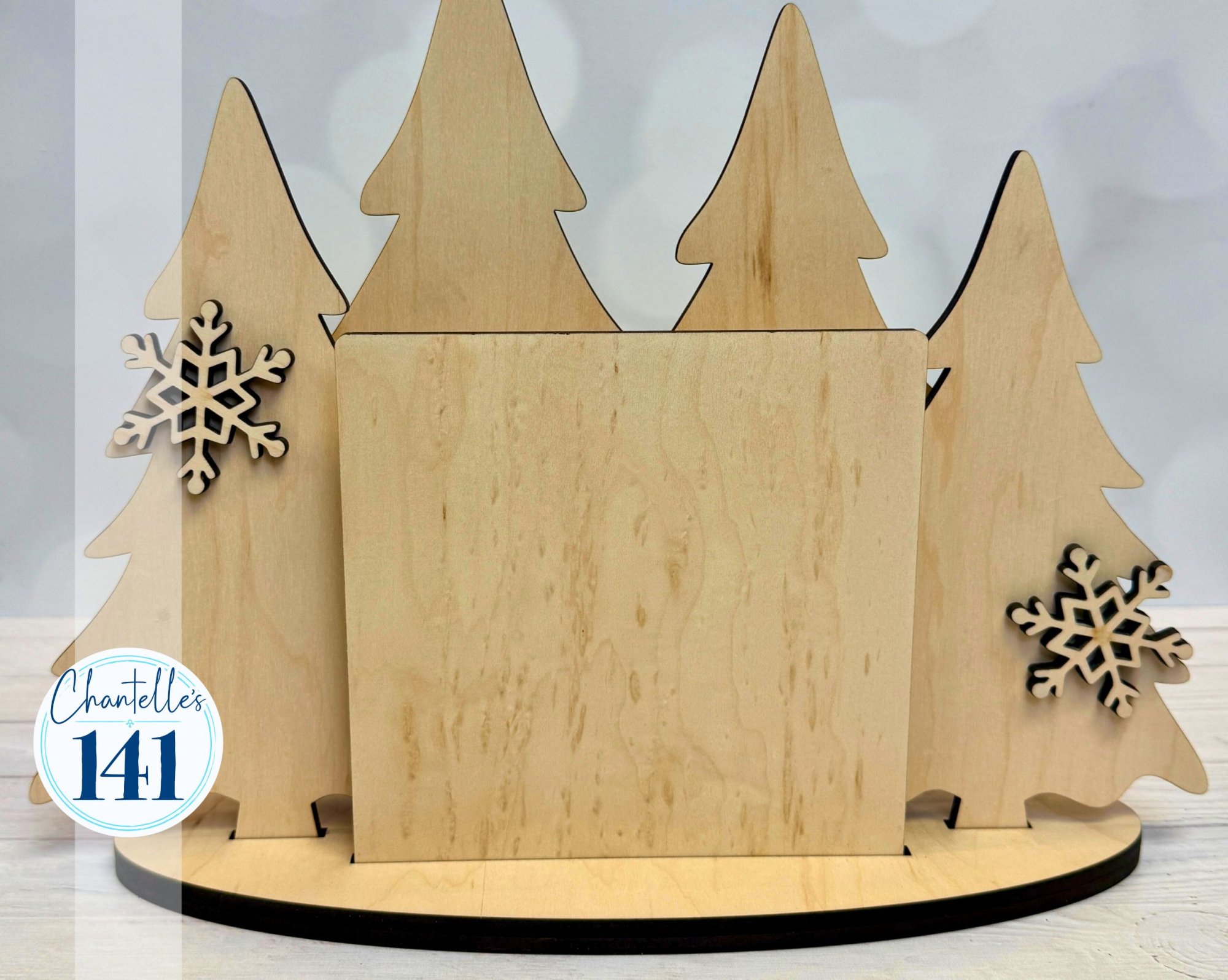 Winter Wonderland - Unfinished Wood Display Frame