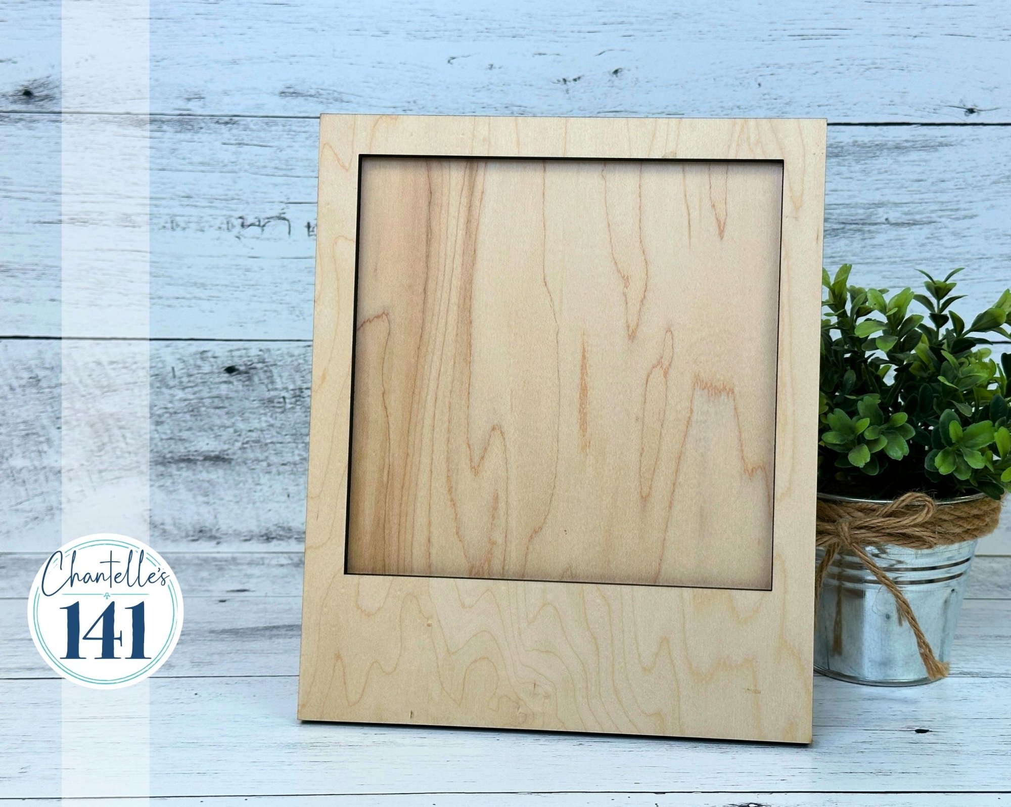 Snapshot - Unfinished Wood Display Frame