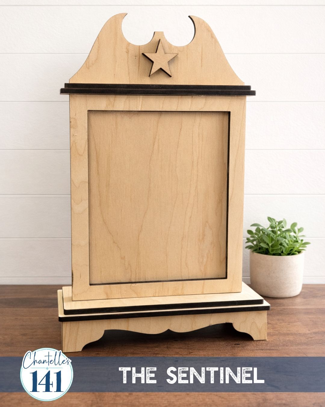 The Sentinel - Unfinished Wood Display Frame