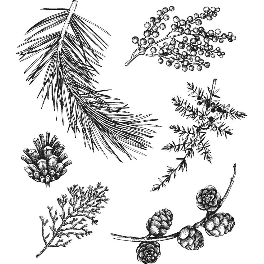 Forest Floor - Cling Stamp