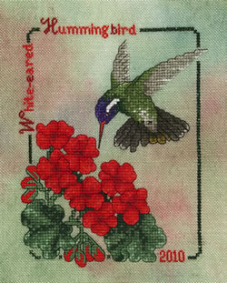 White-Eared Hummingbird 2010 - Cross Stitch Pattern