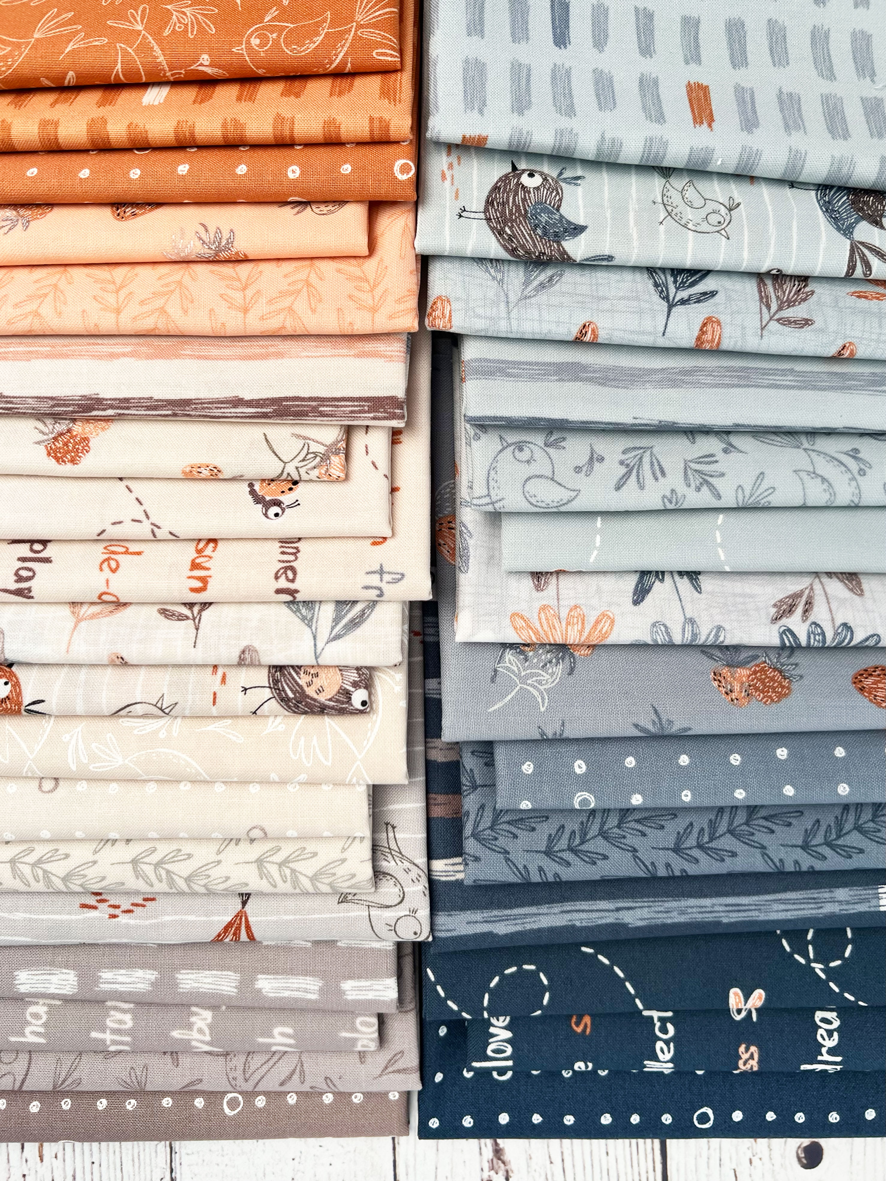 Chirp Dots And Circles Twilight - Quilt Fabric
