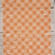 16 Count Picnic Marmalade Aida 16"x20", zoomed in. Select this picture to zoom back out.