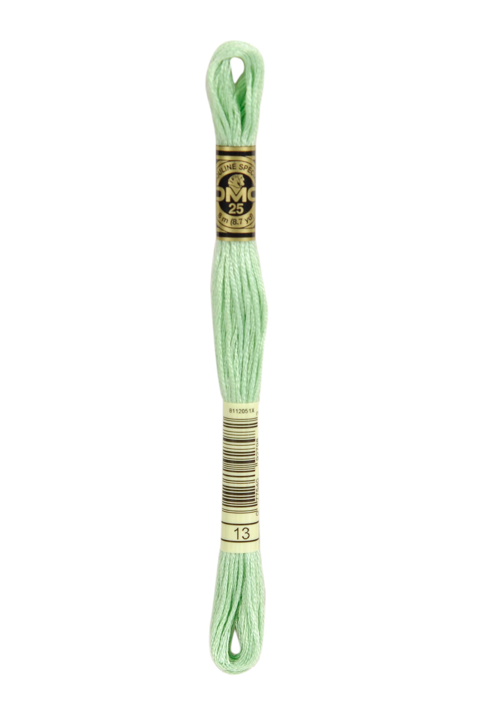DMC 13 Six Strand Floss - Medium Light Nile Green