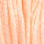 DMC Floss Cone #20 - Shrimp Pink