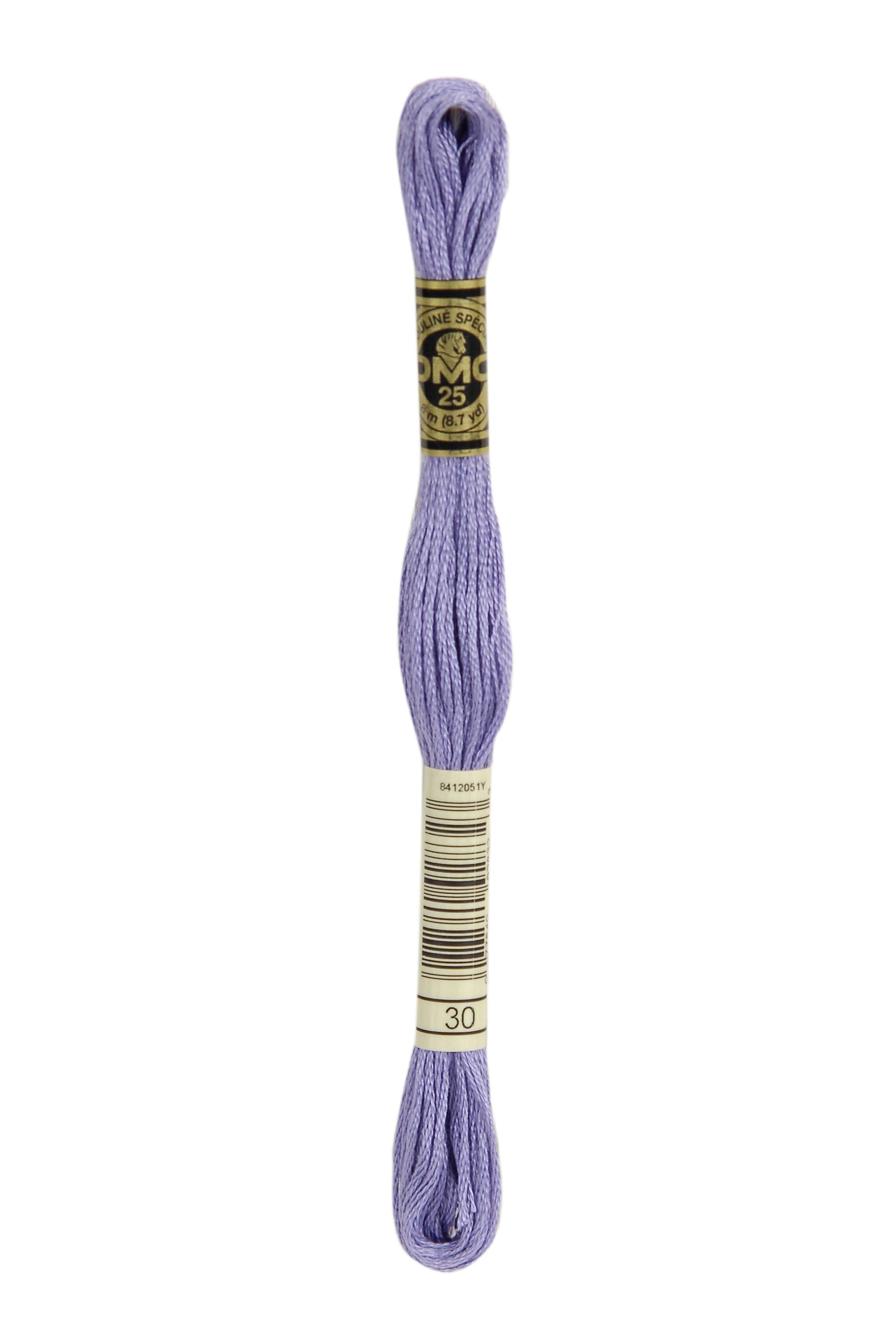 DMC 30 Six Strand Floss - Medium Light Blueberry Purple