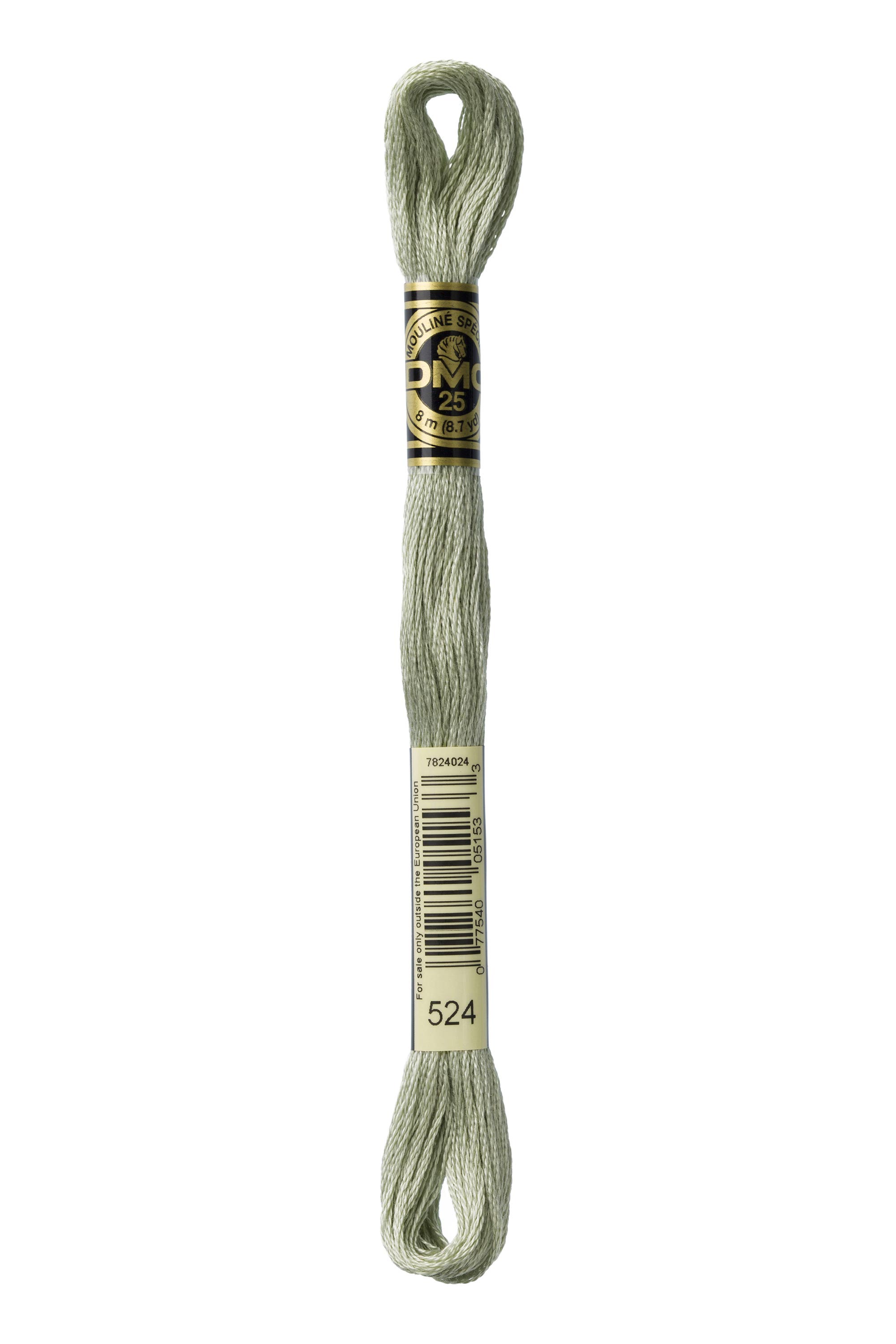 DMC 524 Six Strand Floss - Very Light Fern Green