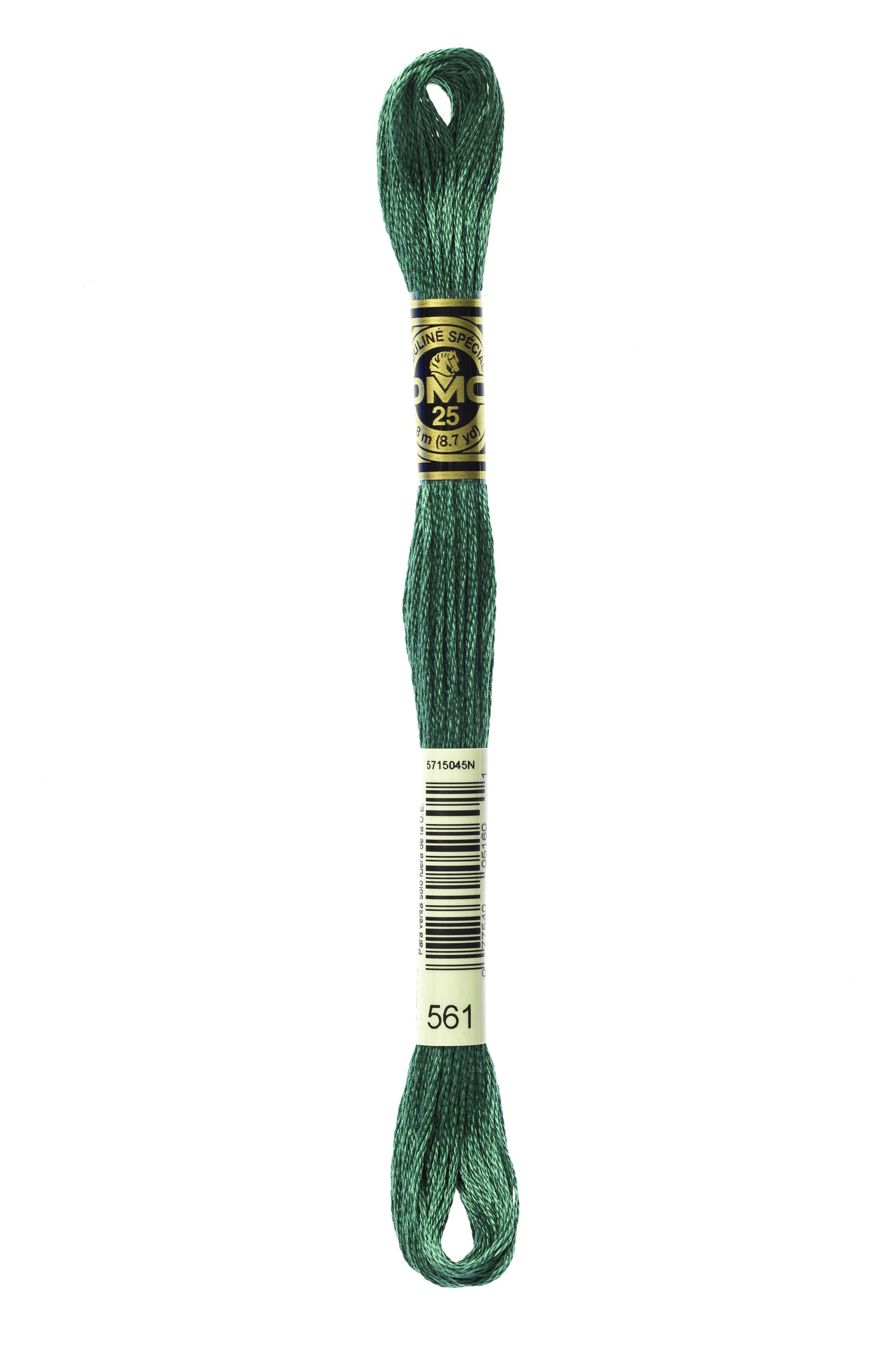 DMC 561 Six Strand Floss - Very Dark Jade Green