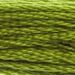 DMC 581 Six Strand Floss - Moss Green