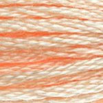 DMC 951 Six Strand Floss - Light Tawny Brown