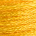 DMC 972 Six Strand Floss - Deep Canary Yellow