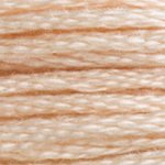 DMC Floss Cone #3774 - Very Light Desert Sand Brown