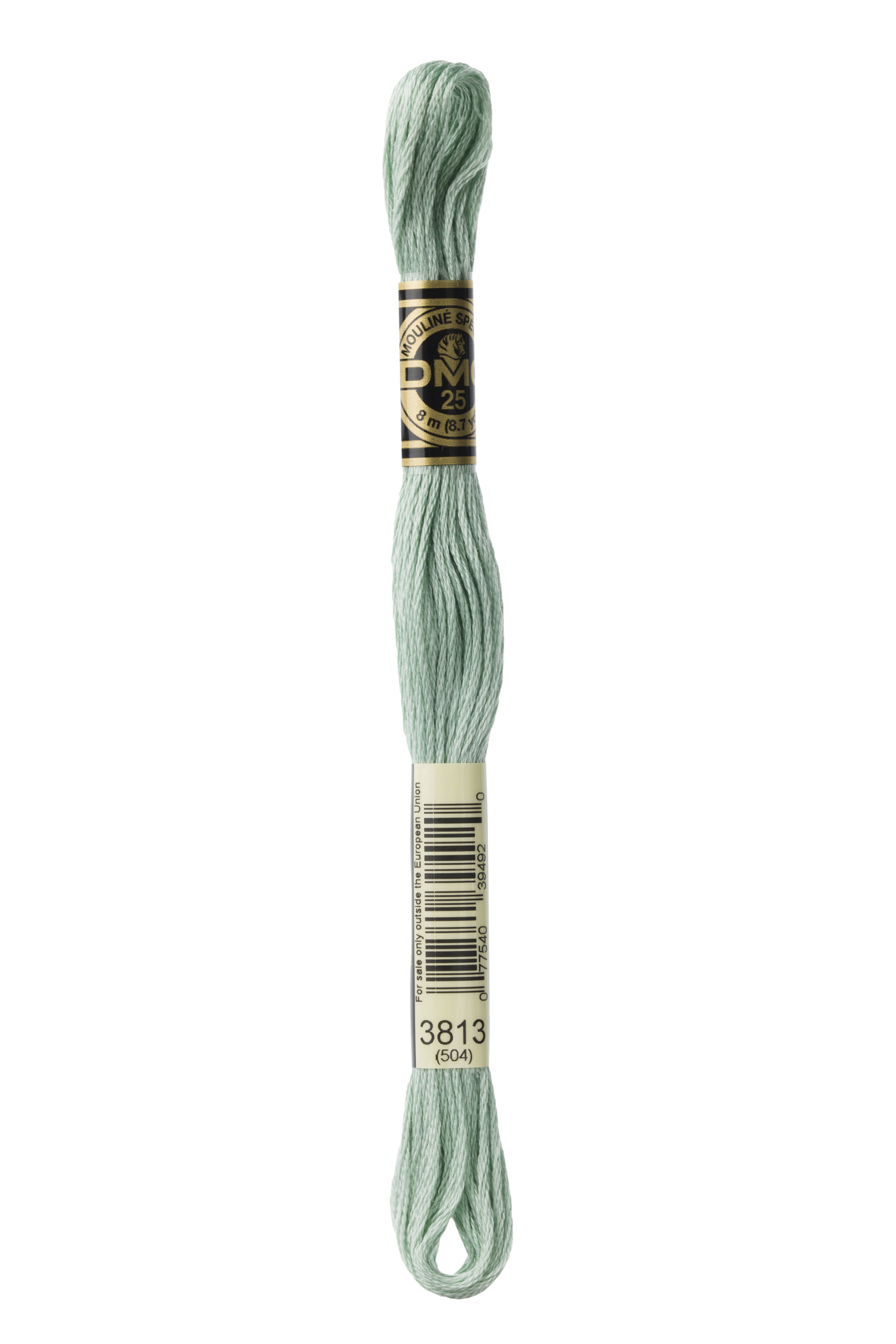 DMC 3813 Six Strand Floss - Light Blue Green