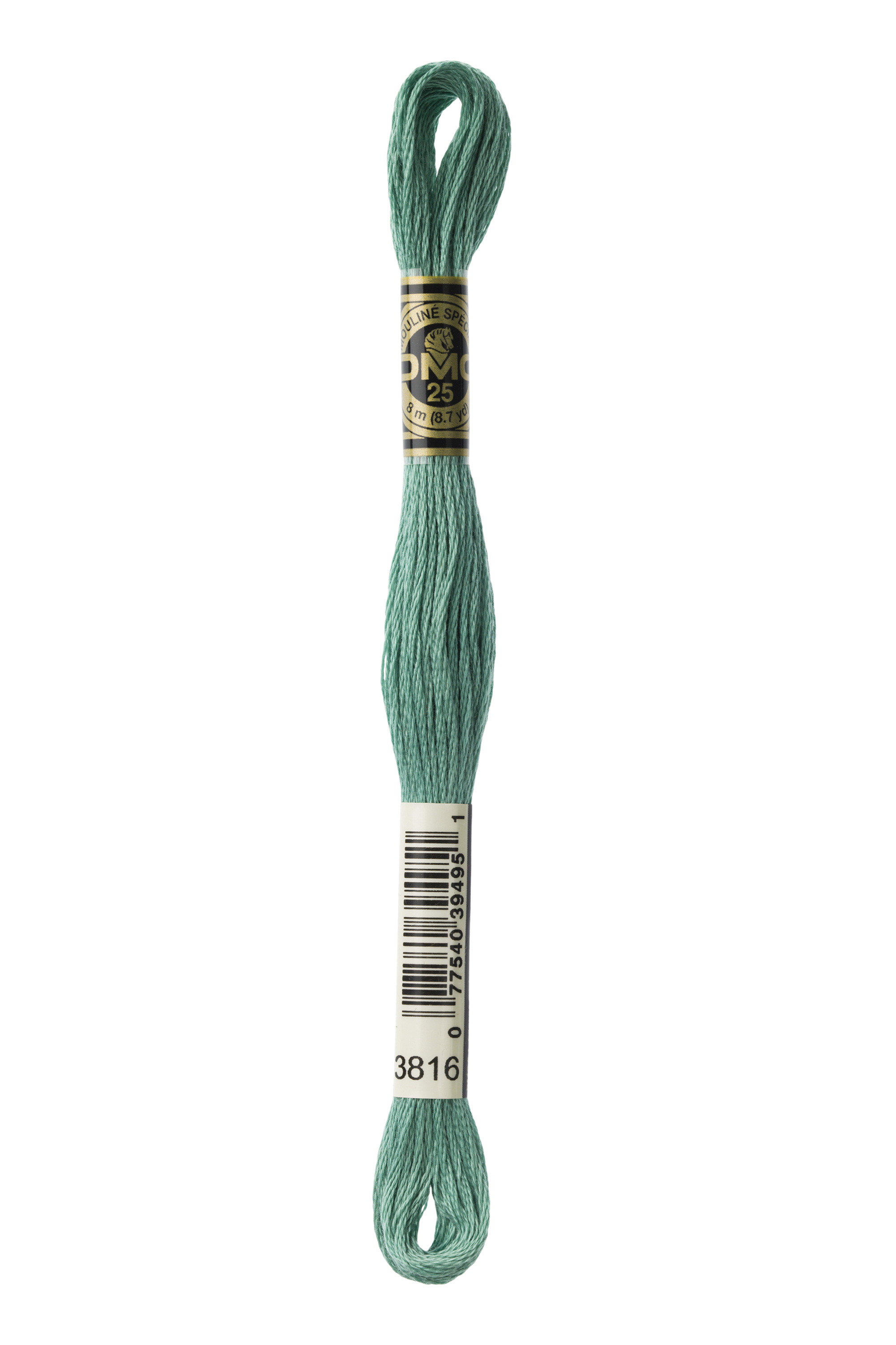 DMC 3816 Six Strand Floss - Celadon Green