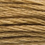 DMC 3828 Six Strand Floss - Hazelnut Brown