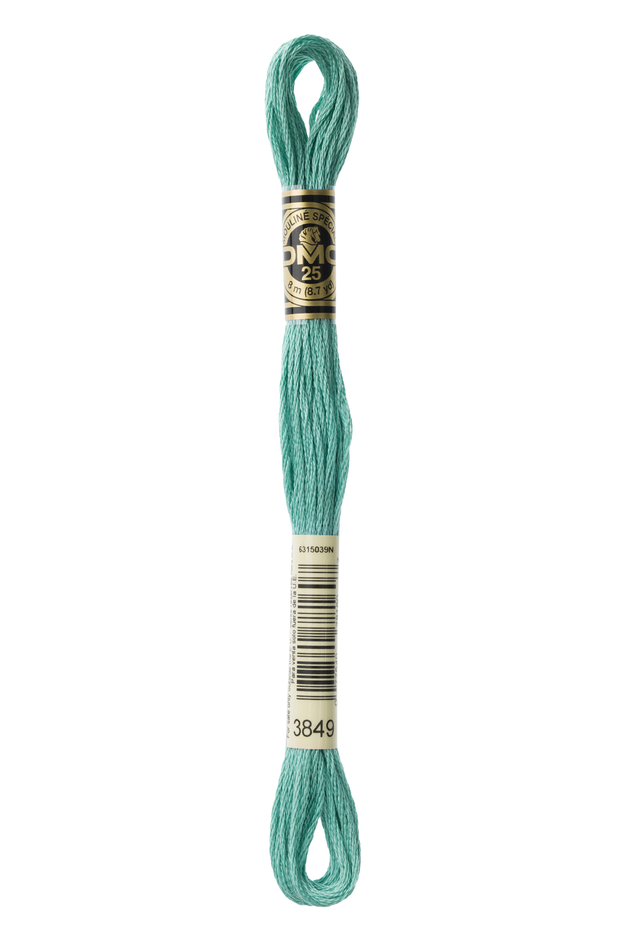 DMC 3849 Six Strand Floss - Light Teal Green