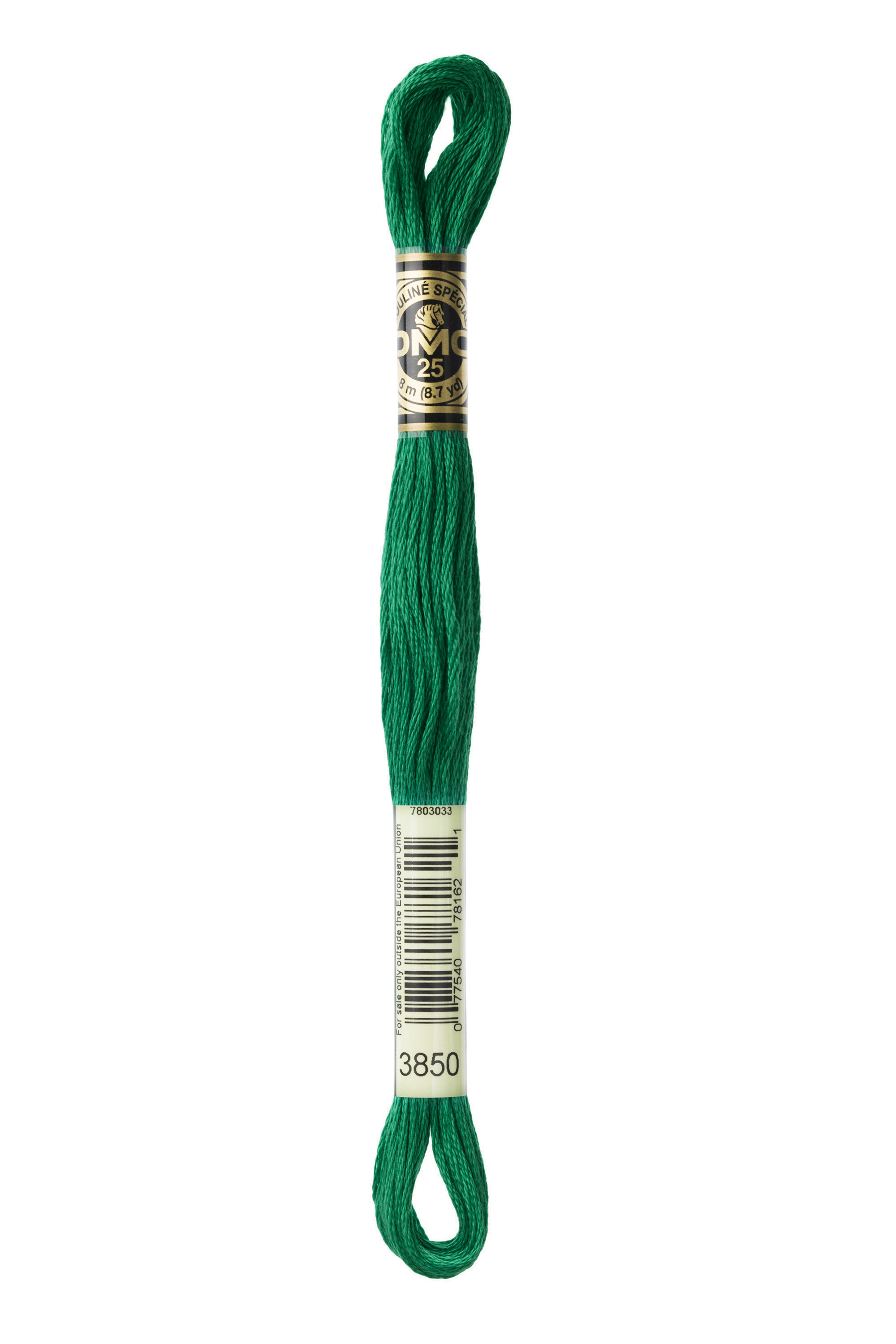 DMC 3850 Six Strand Floss - Dark Green