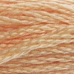 DMC 3856 Six Strand Floss - Light Mahogany Brown