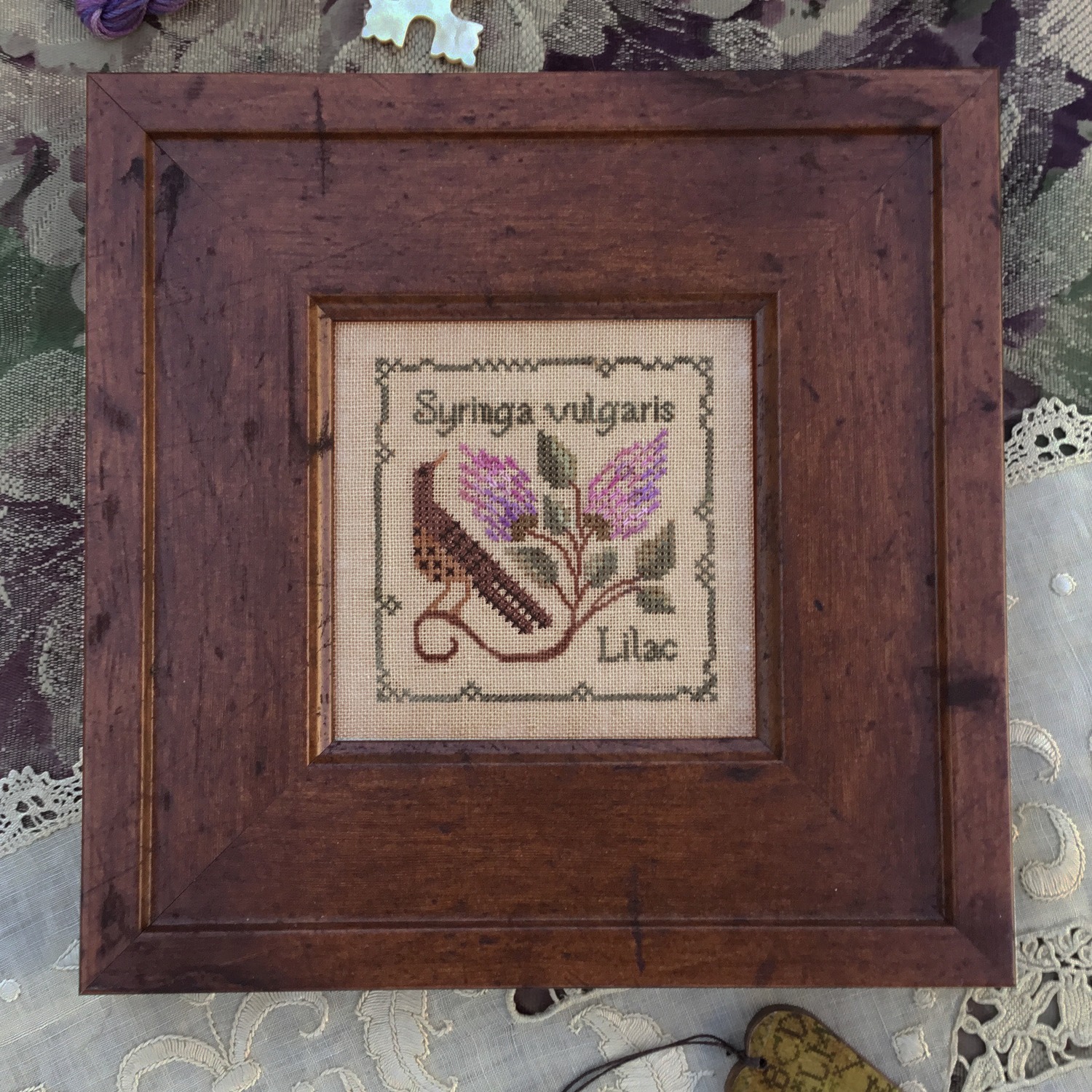 Common Lilac - Cross Stitch Pattern