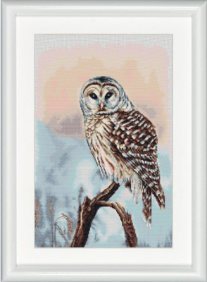 Owl (Aida) - Cross Stitch Kit