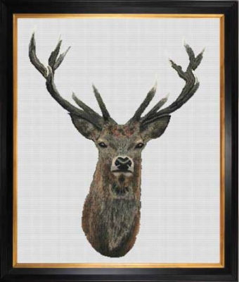 Red Deer (White Aida) - Cross Stitch Kit