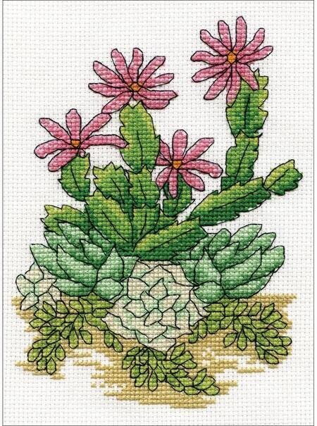 Cactus - Cross Stitch Kit