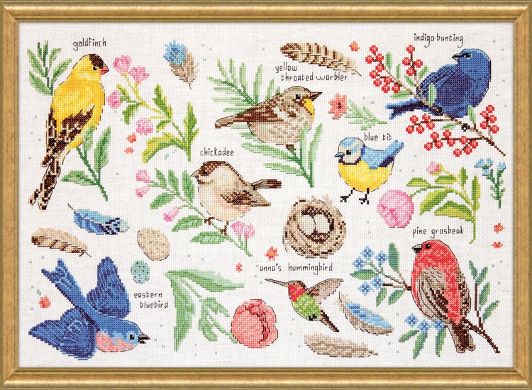 Bird Study - Cross Stitch Kit