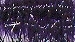 Estaz - Plum ES20