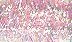 Estaz - Opalescent Light Pink