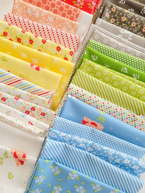 Emma Daisies Porcelain - Quilt Fabric