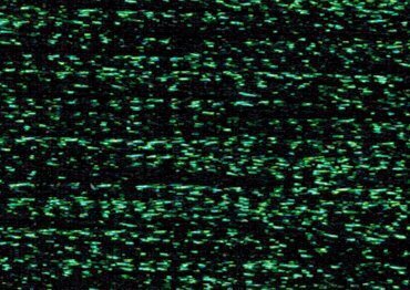 Rainbow Gallery Fyre Werks #F34 - Green