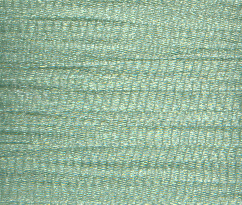 Rainbow Gallery Flair - #F536 LITE SEA GREEN