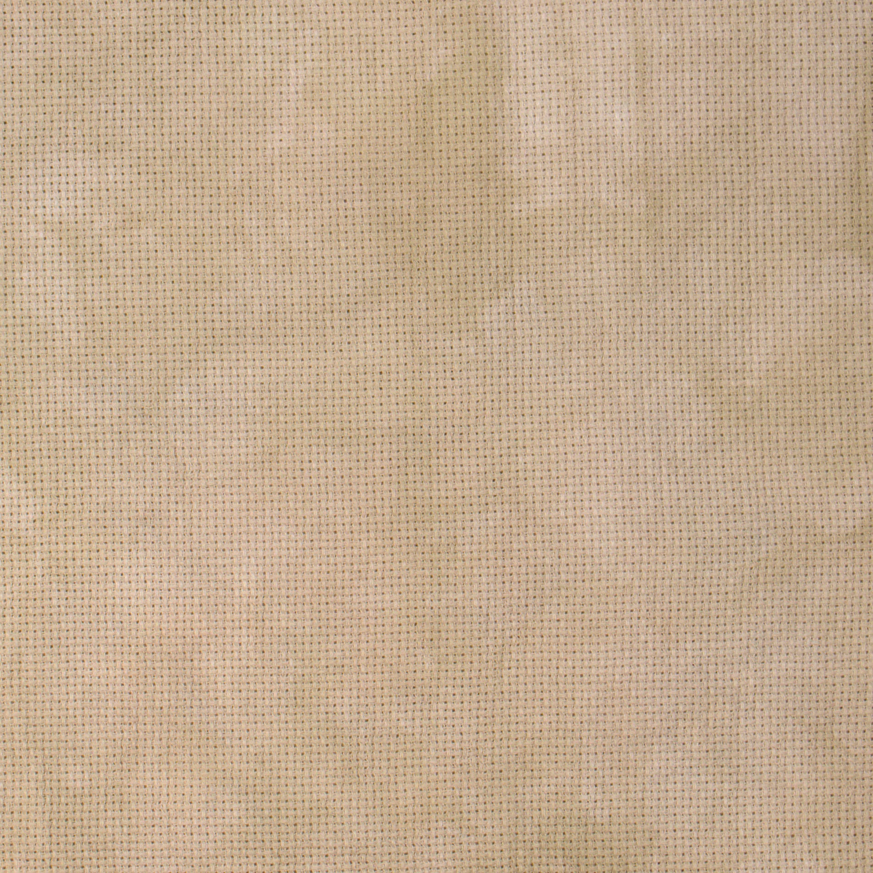 16 Count Latte Aida 36x56