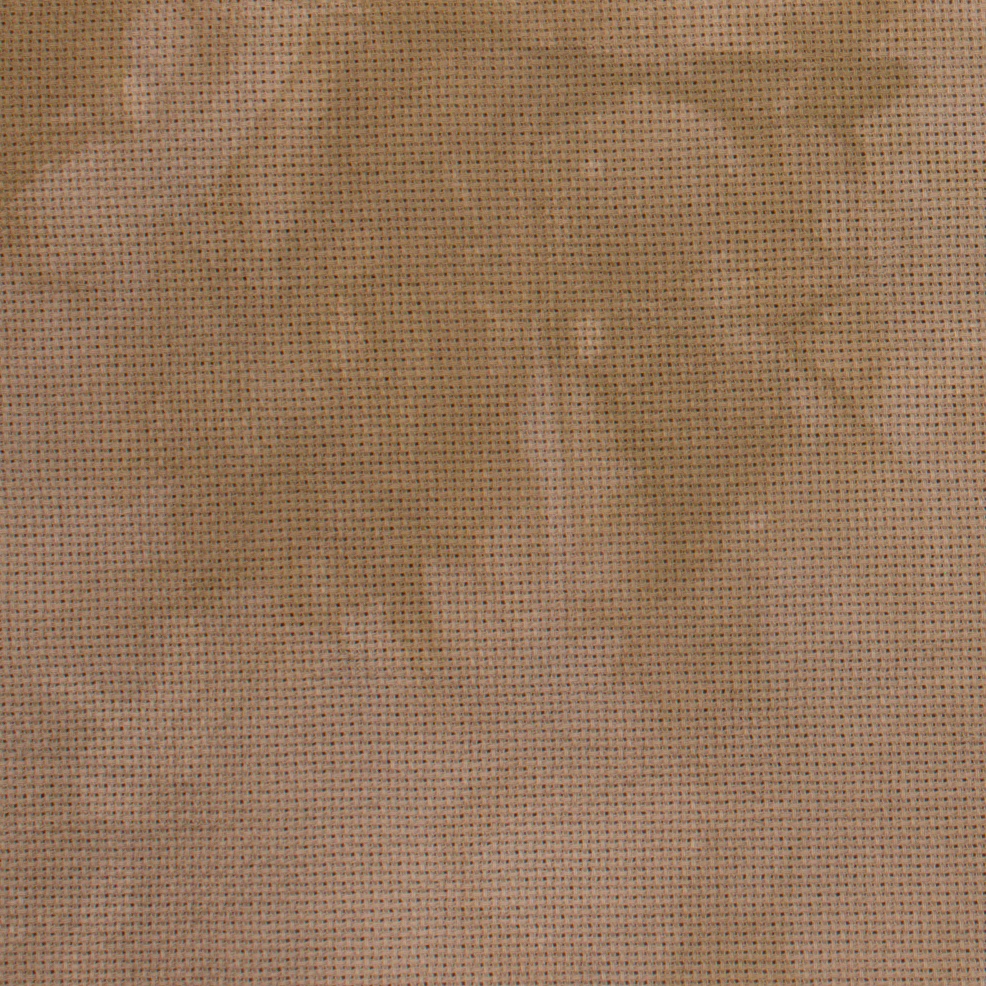 18 Count Dulce de Leche Aida 28x36